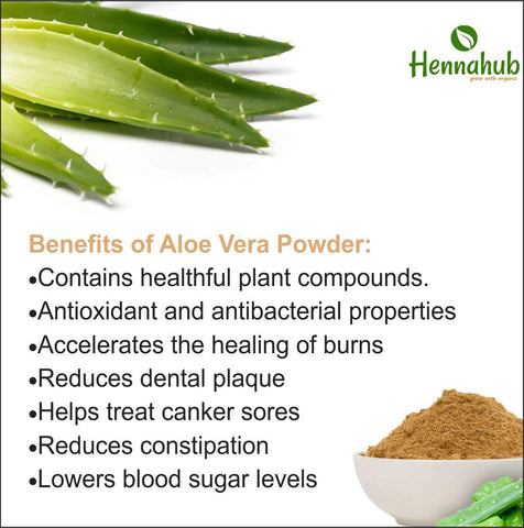 Organic ALOE VERA Powder for Face care- 200gm - hennahubstore